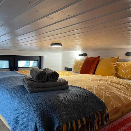 Tinyhaus Josie Von Tinyhaus * Steinhude